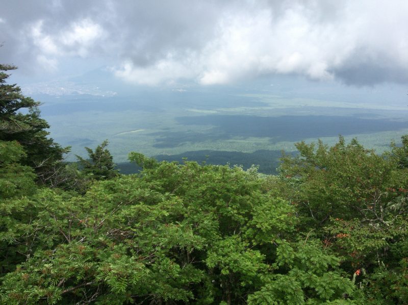 ���m����x�m�R�͕Г�3600�~�ōs����I���A��x�m�R���s�ɍs���Ă��܂���