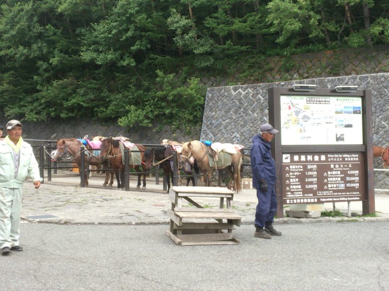 ���m����x�m�R�͕Г�3600�~�ōs����I���A��x�m�R���s�ɍs���Ă��܂���