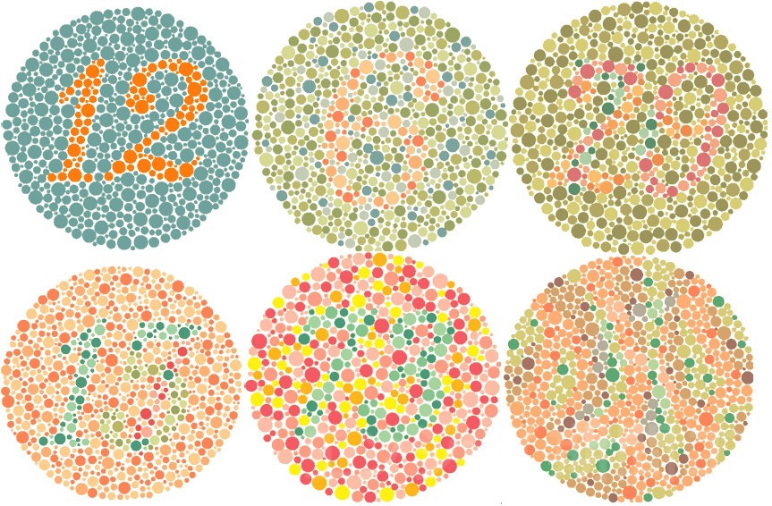 �u�F��F�Ӂv�ł���薳�����ԍH�ɂȂ�܂��y���a�����z