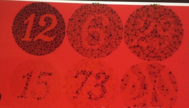 �u�F��F�Ӂv�ł���薳�����ԍH�ɂȂ�܂��y���a�����z