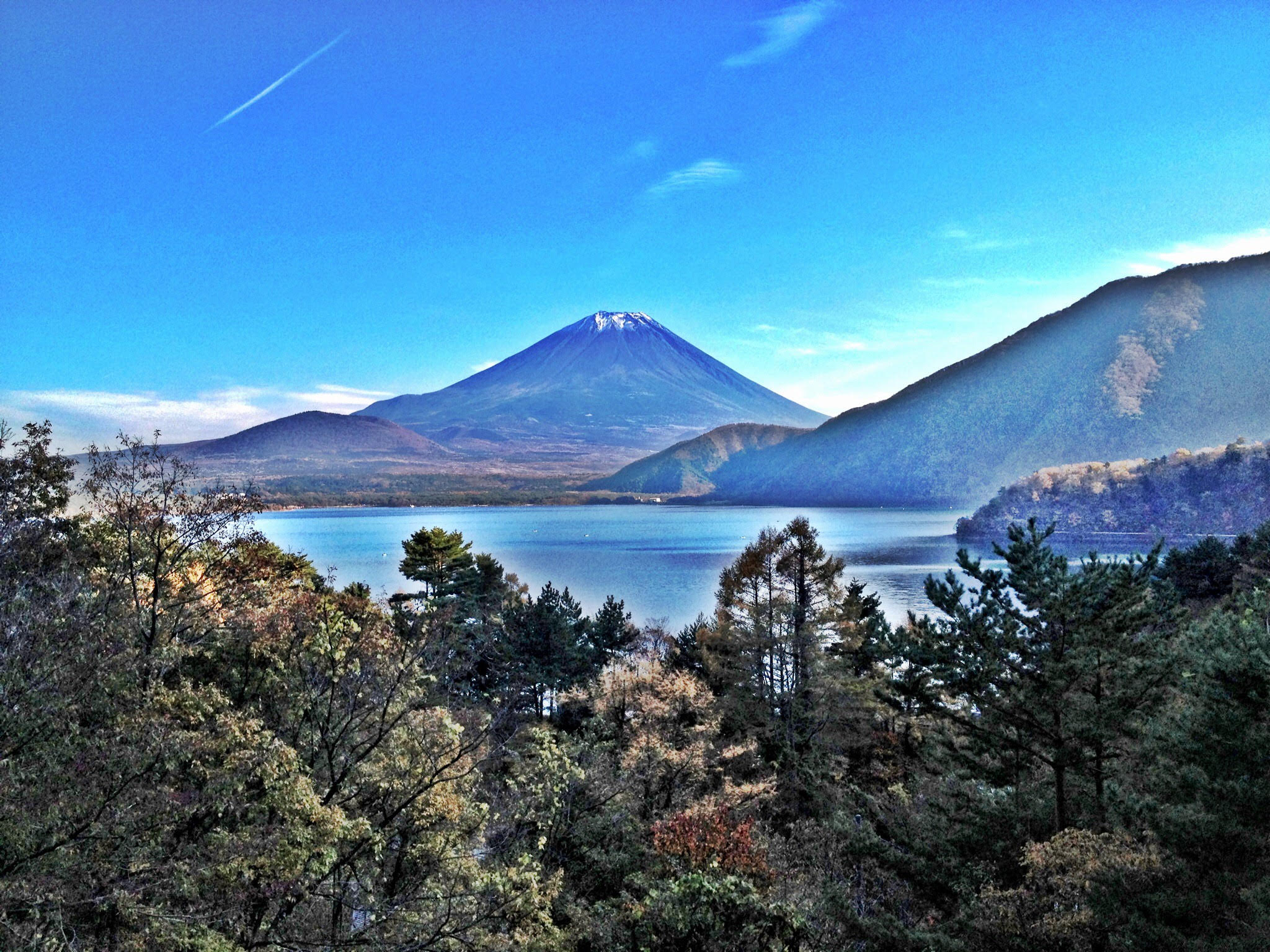 ���m����x�m�R�͕Г�3600�~�ōs����I���A��x�m�R���s�ɍs���Ă��܂���