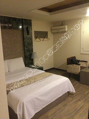 ���������z�e���̕���